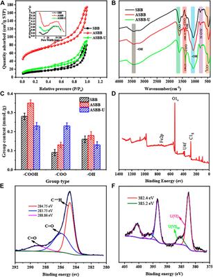 Dual Effect of Acetic Acid Efficiently Enhances Sludge-Based Biochar to Recover Uranium From Aqueous Solution